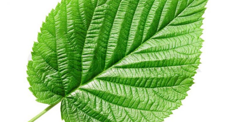 نفس گیری درست به چه معناست؟